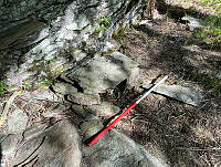 AFK0042920250513398 (2).jpg