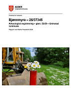 ArkReg-Grimstad-25_37345.pdf