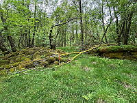AFK0204820250702120.JPG