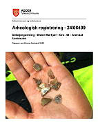 ArkReg-Arendal-24_06499.pdf