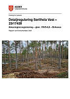 ArkReg-Birkenes-25_17459.pdf