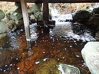 AFK10253202602200 (3).JPG